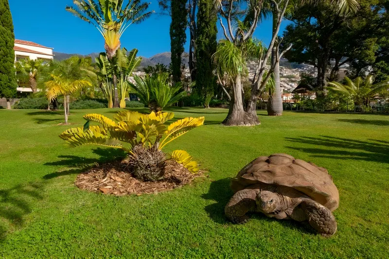 Quinta Jardins do Lago