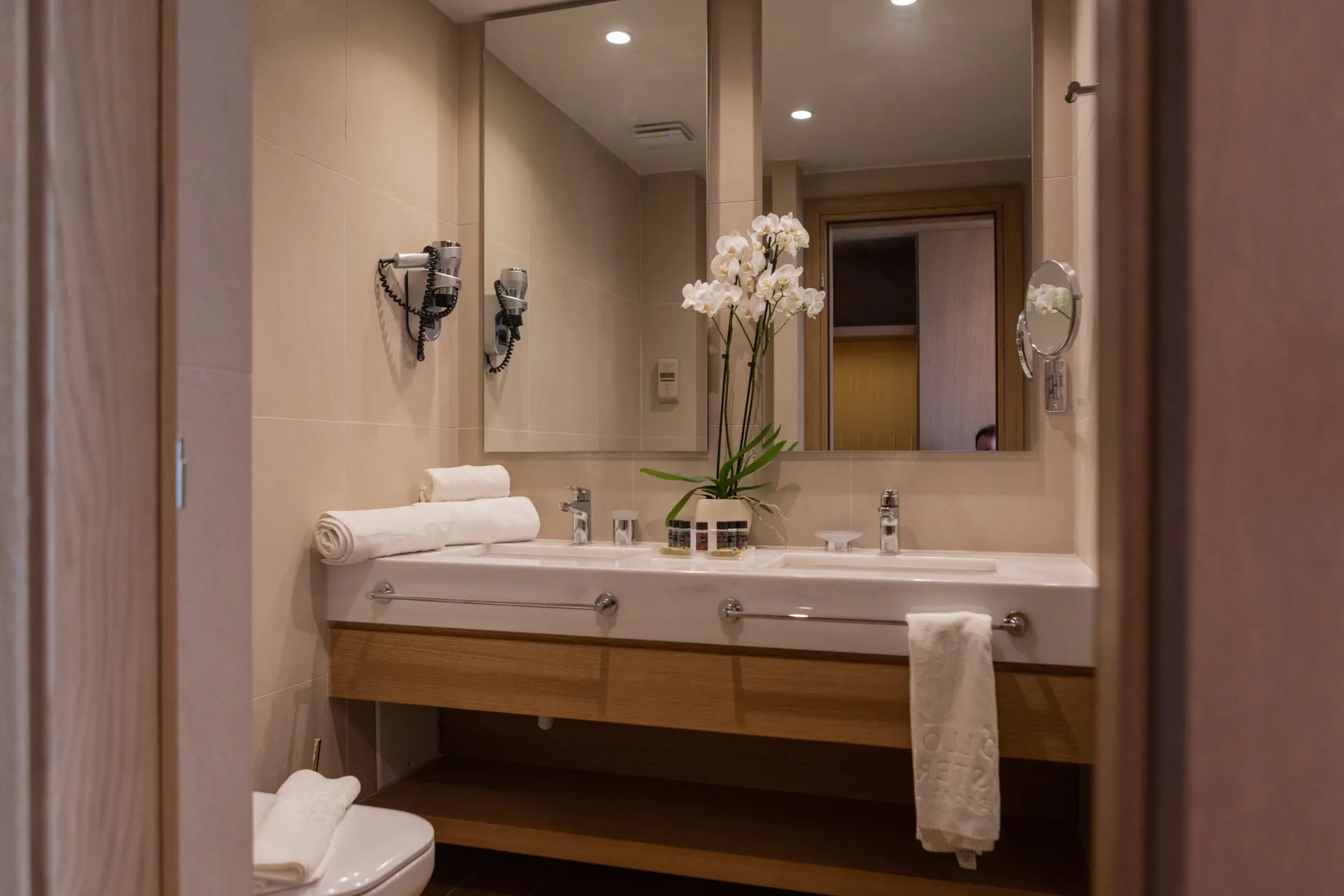 Junior Suite Privatpool Asterias