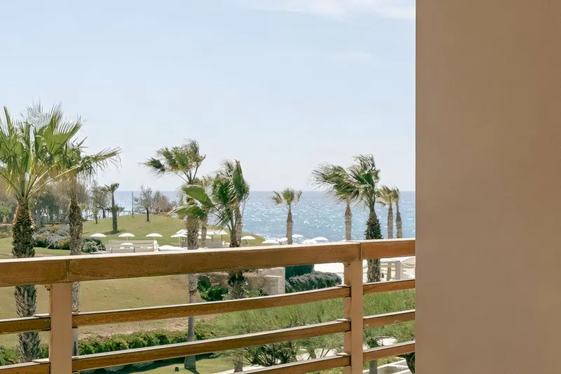 Hotel Capo Vaticano Resort Thalasso  Spa