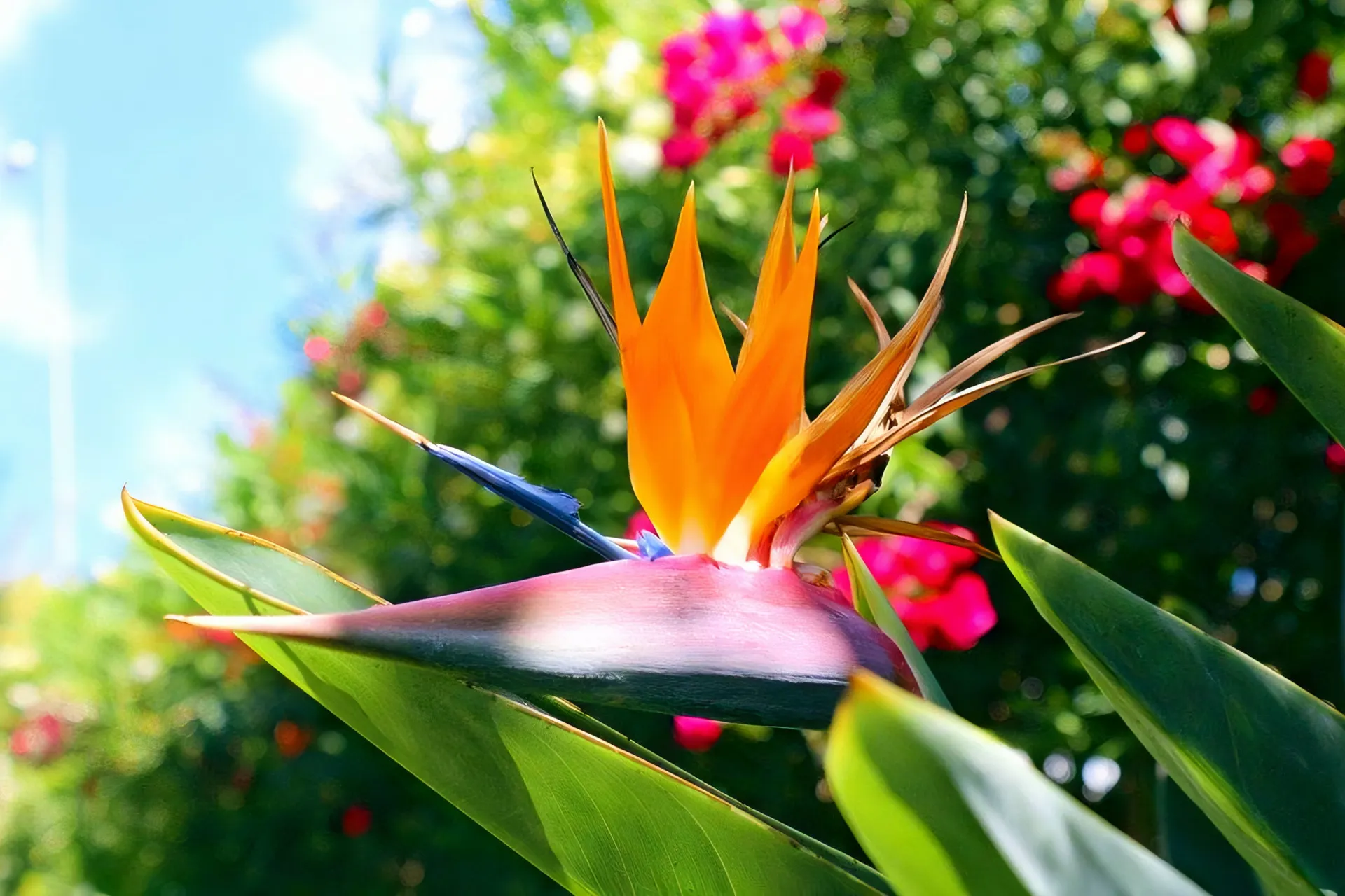 Hotel The Views Oasis