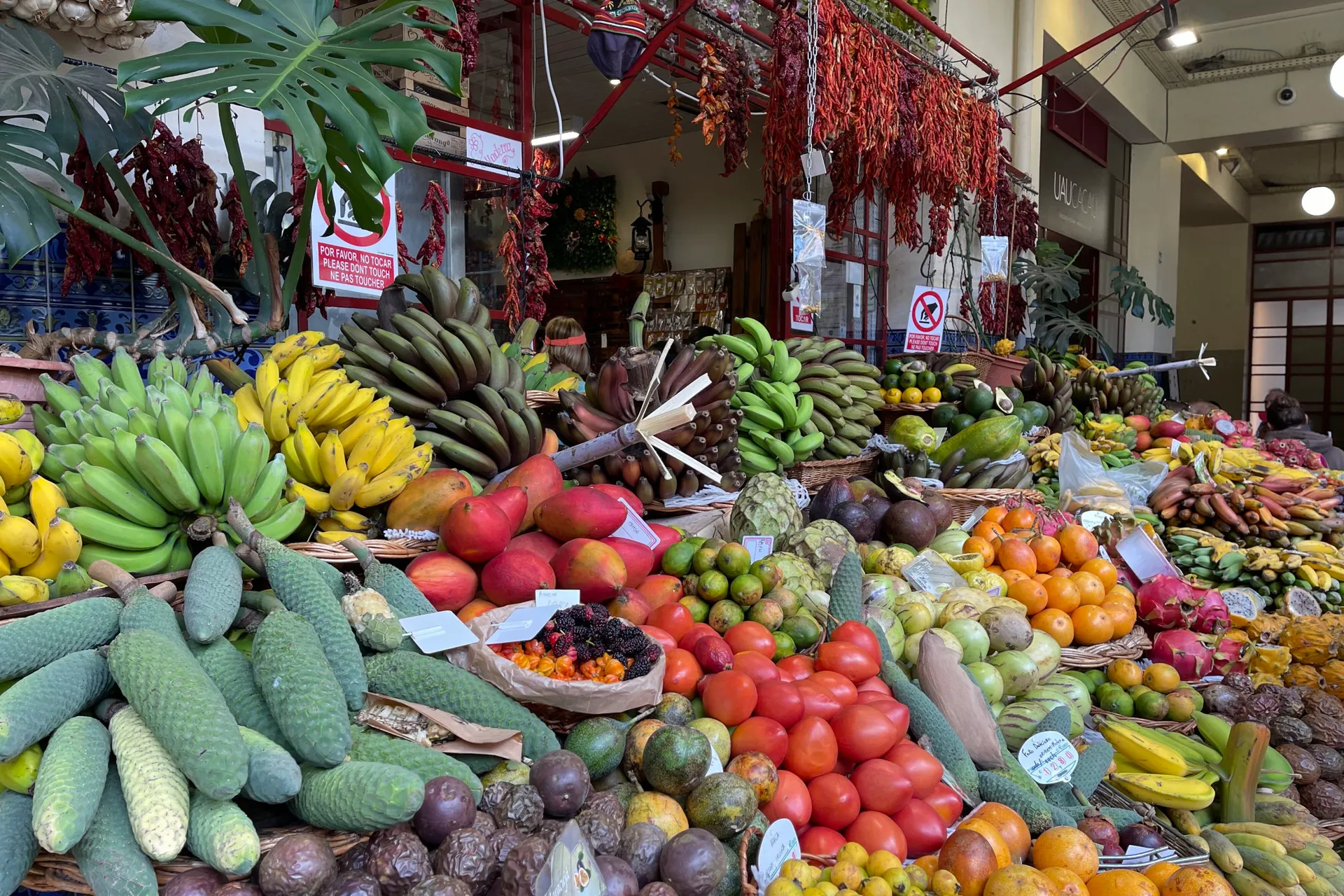 <p>Region Funchal, Funchal, Früchte, PIM (UPLOAD_ANER)</p>