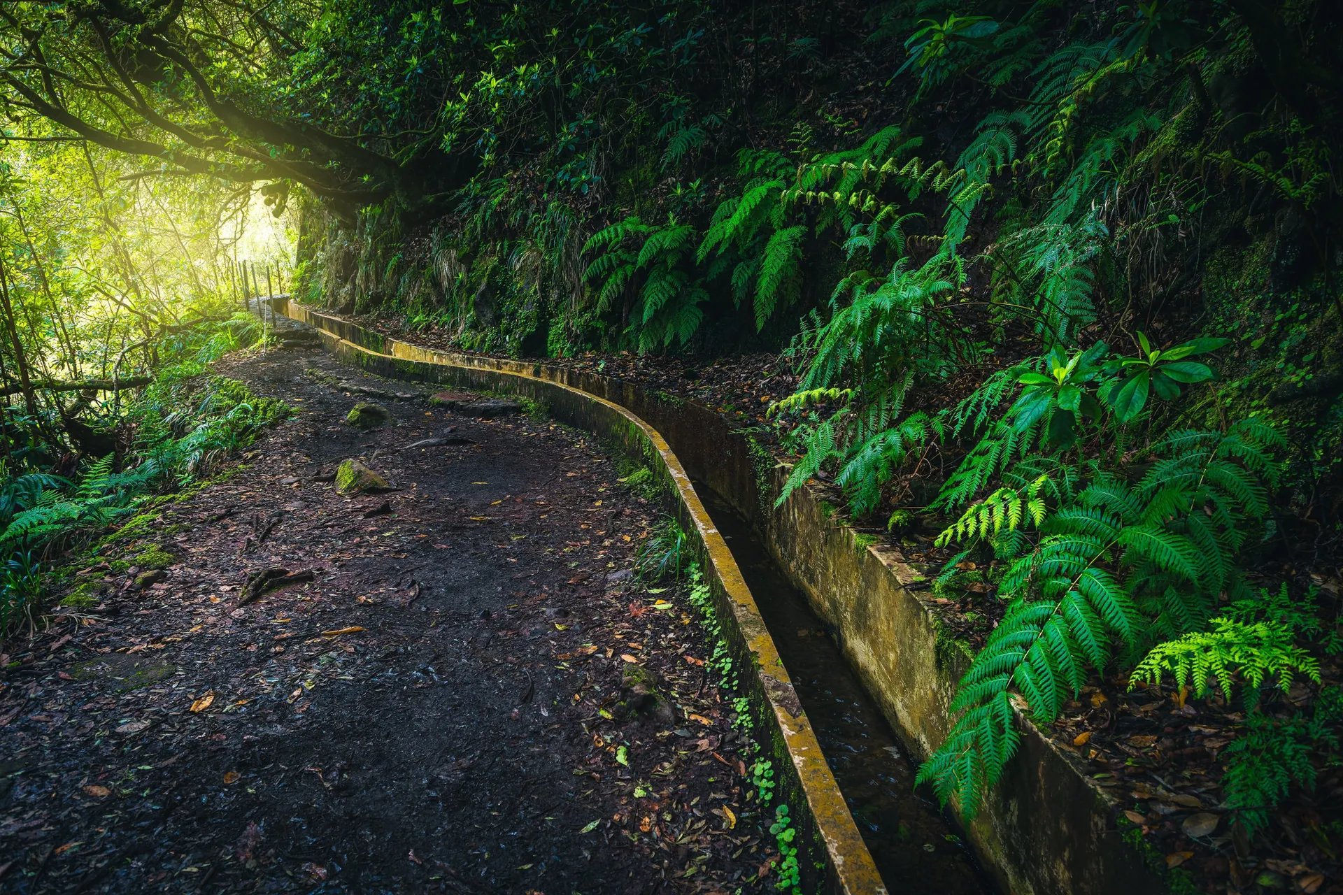 Levada do Furado II Madeira