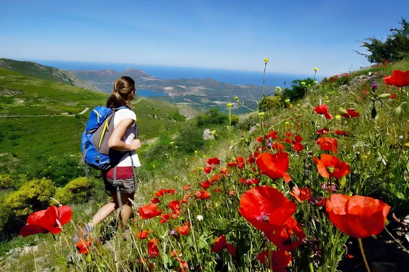 Rundreise Corsica mon amour