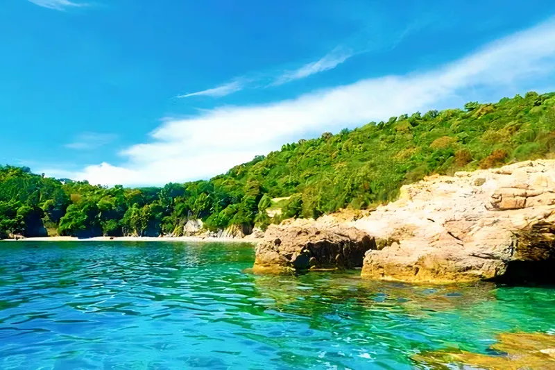 Ferienhaus Domaine de Pianiccia