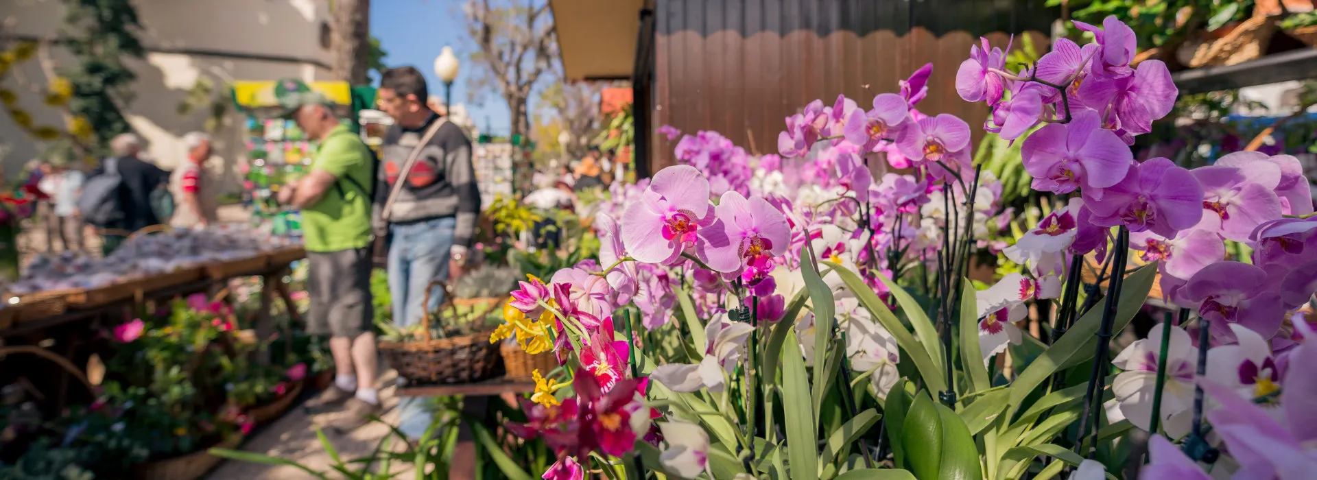 Blumenmarkt in Funchal