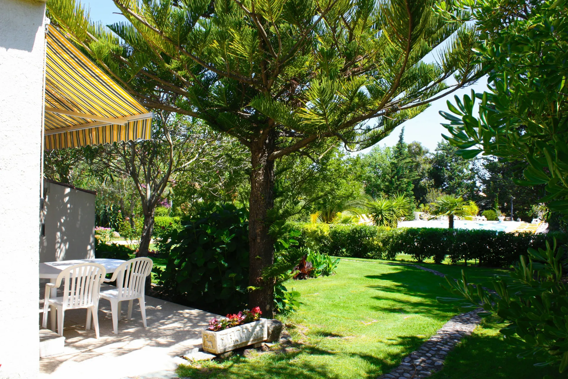 Ferienwohnung Casa Oleanda - Studio Arocaria