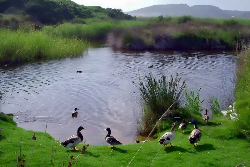 Biosphärenpark Menorca