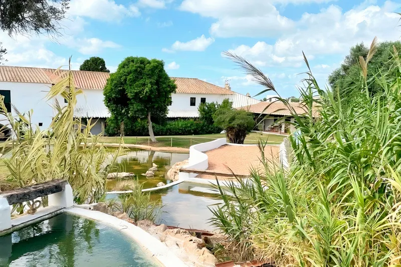 Appartments Binivell Park