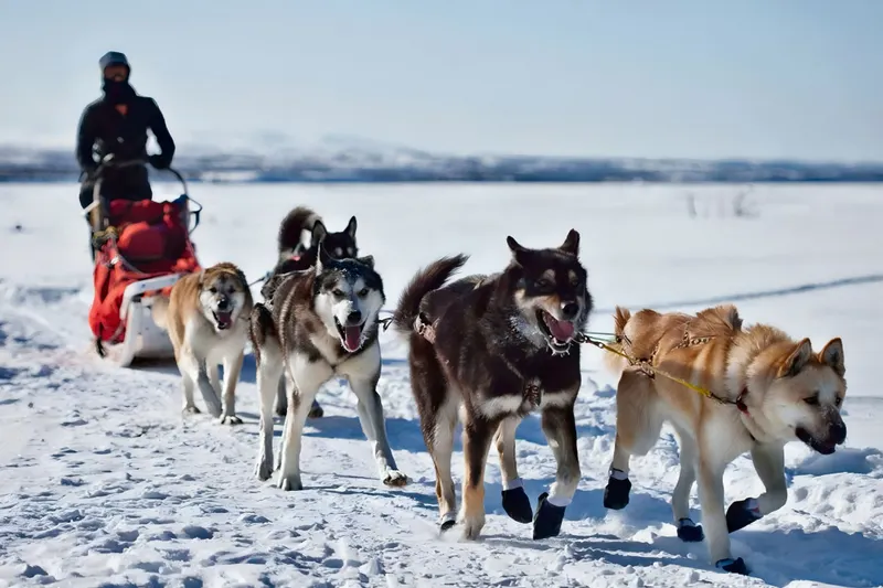 Erlebnisreise Appartements in Levi