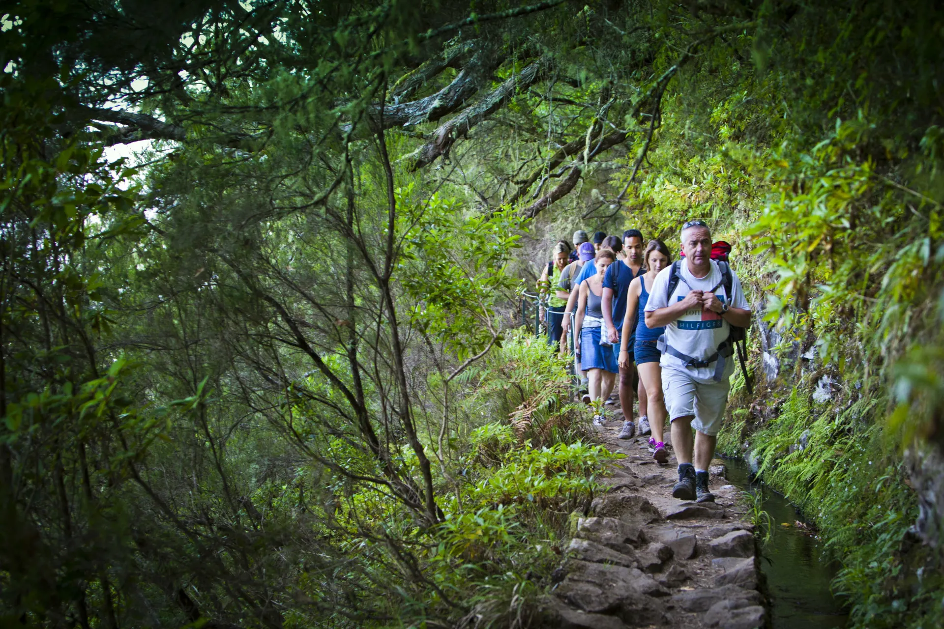 Levada Wanderung Caldeiro Verde