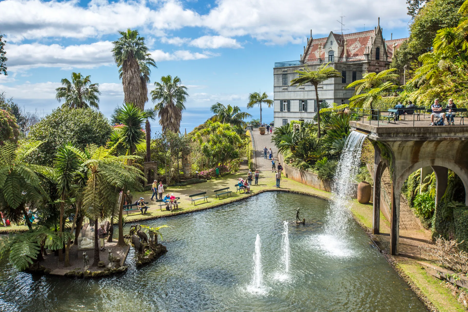 <p>PIM, Region Funchal, Funchal, Fauna &amp; Flora, sefi (UPLOAD_ANER)</p>