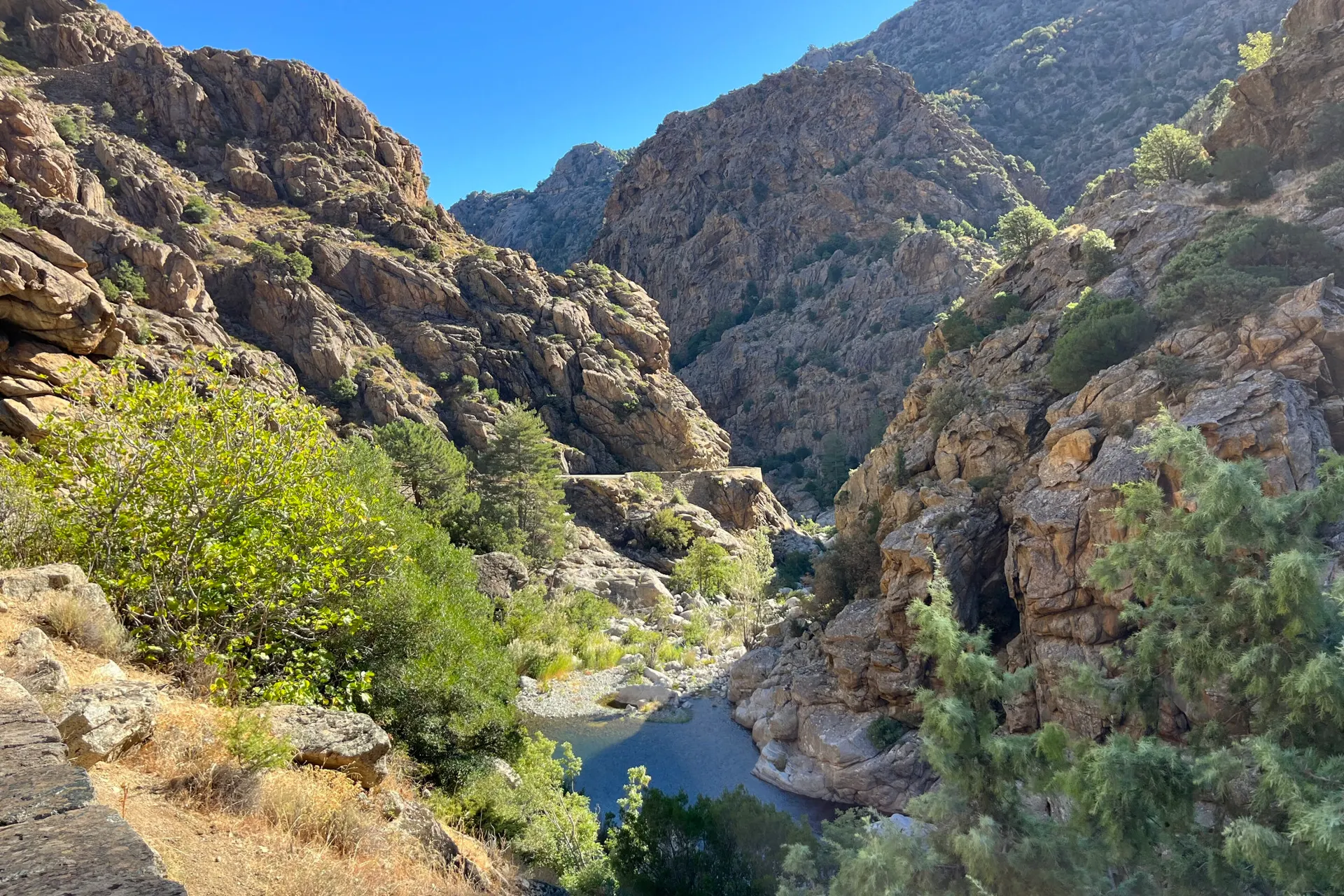 Piana