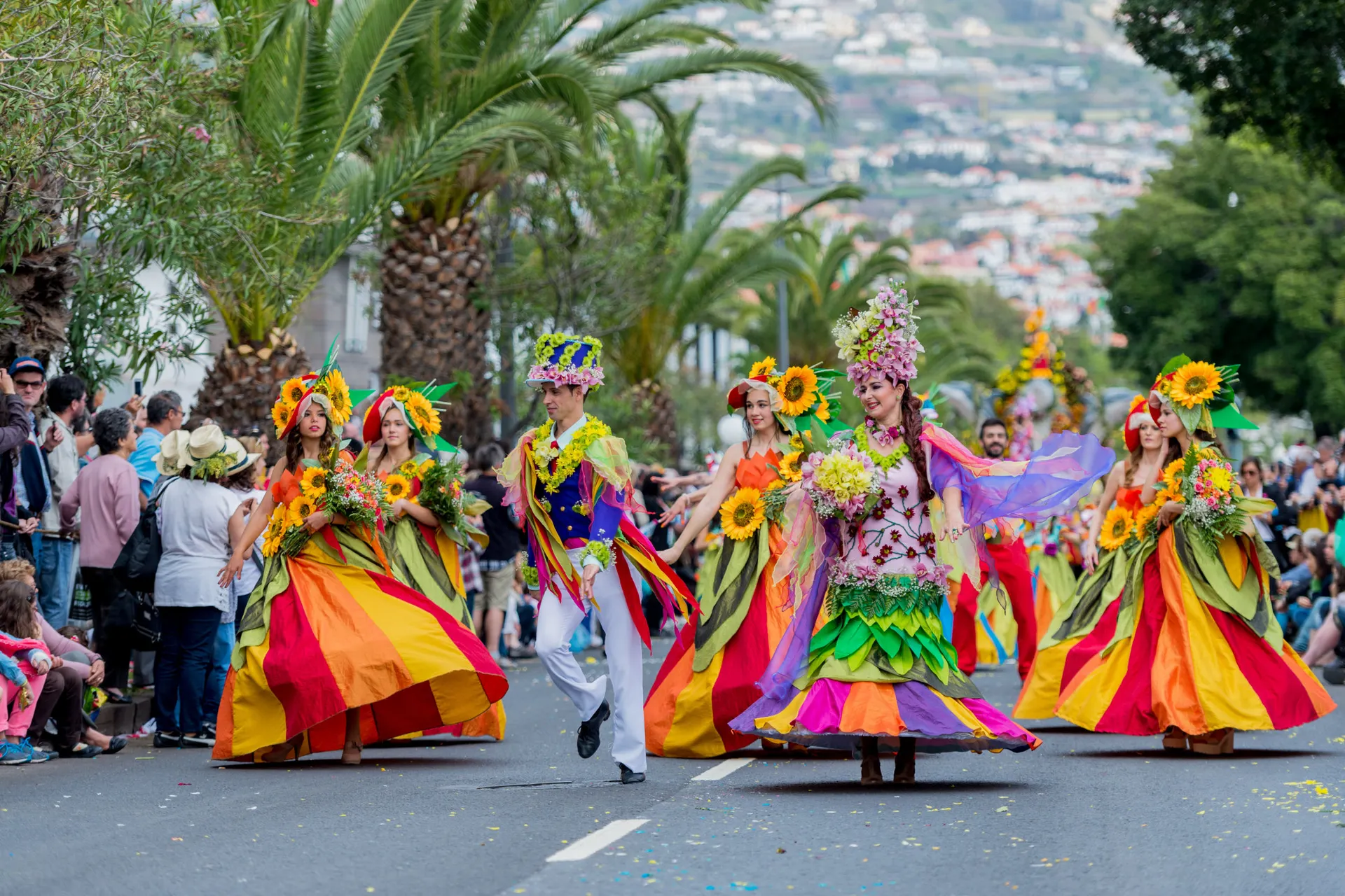 <p>contentful, Region Funchal, Funchal, Fauna &amp; Flora, Veranstaltung (UPLOAD_ANER)</p>
