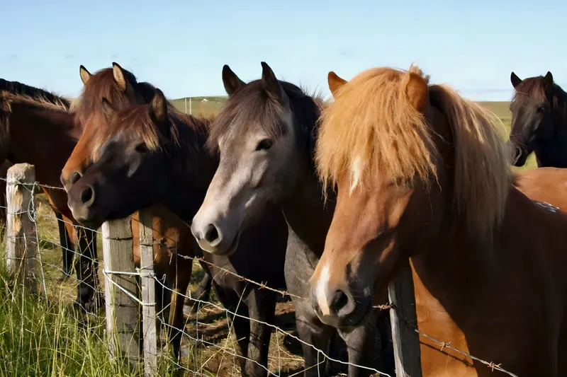Rundreise Ferienhausrundreise