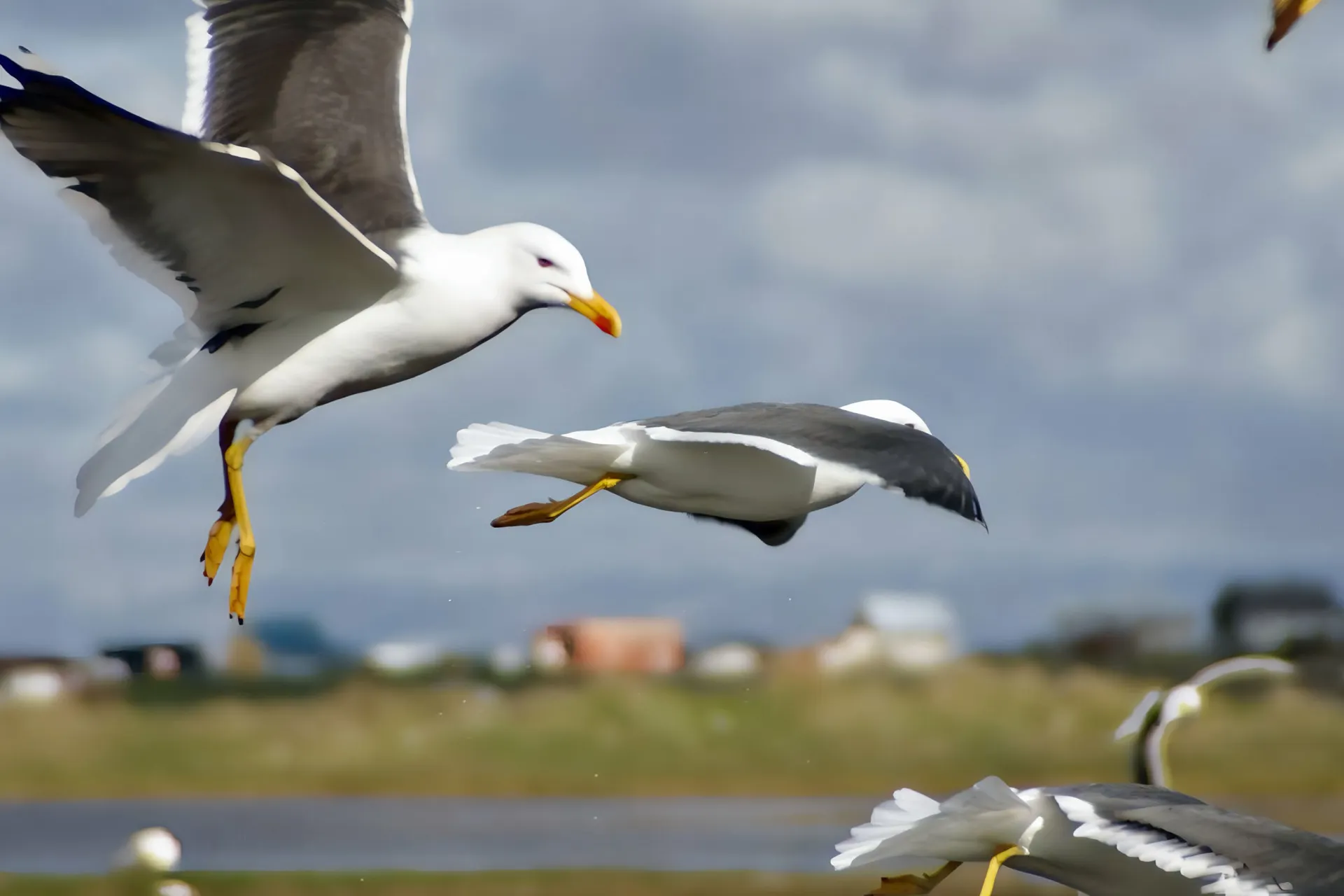 Rundreise Geheimnisse des Hochlands - Naturperlen des Westens