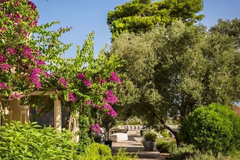 Boutique Hotel Thalassa