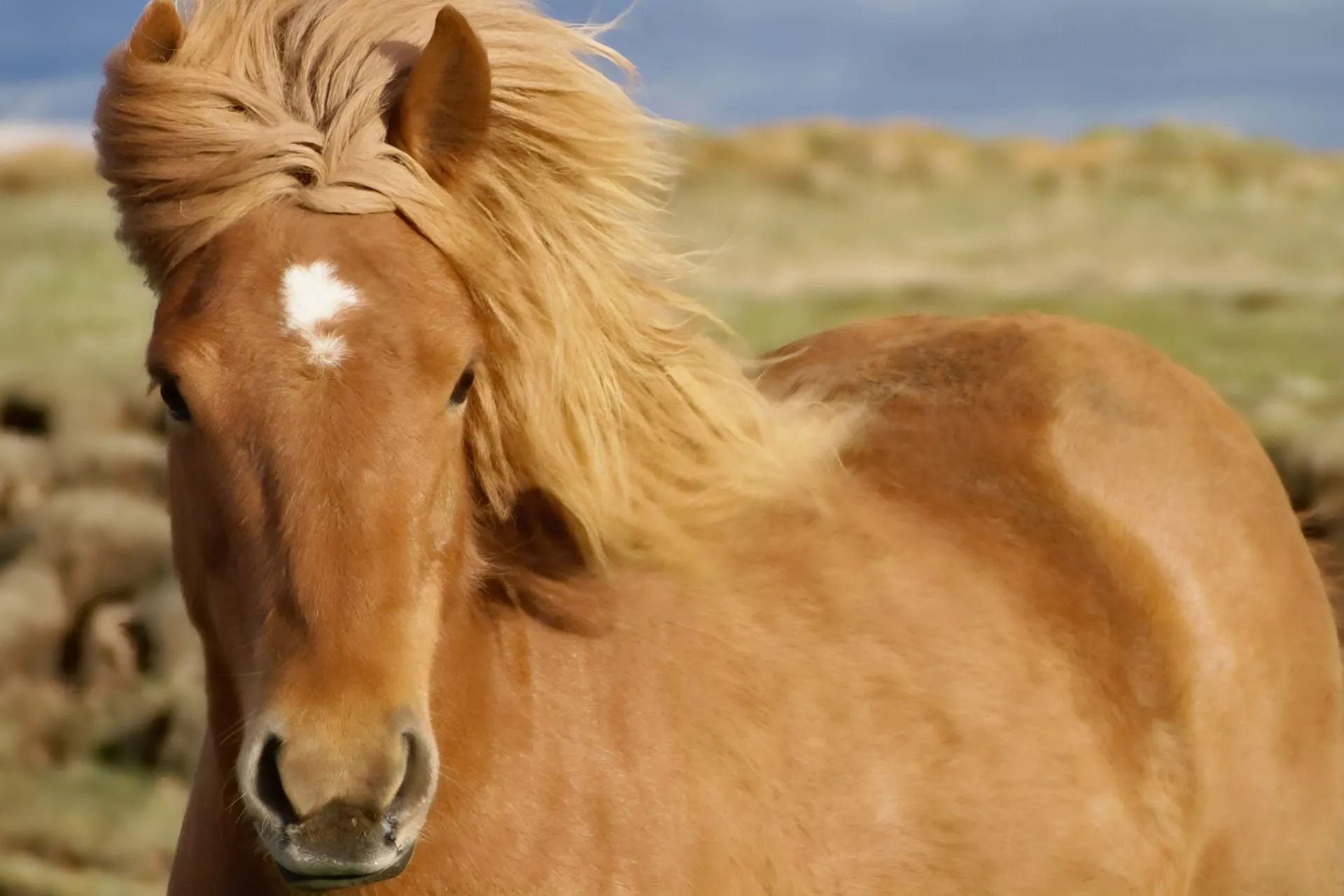 Geführte Rundreise Juwelen der Insel